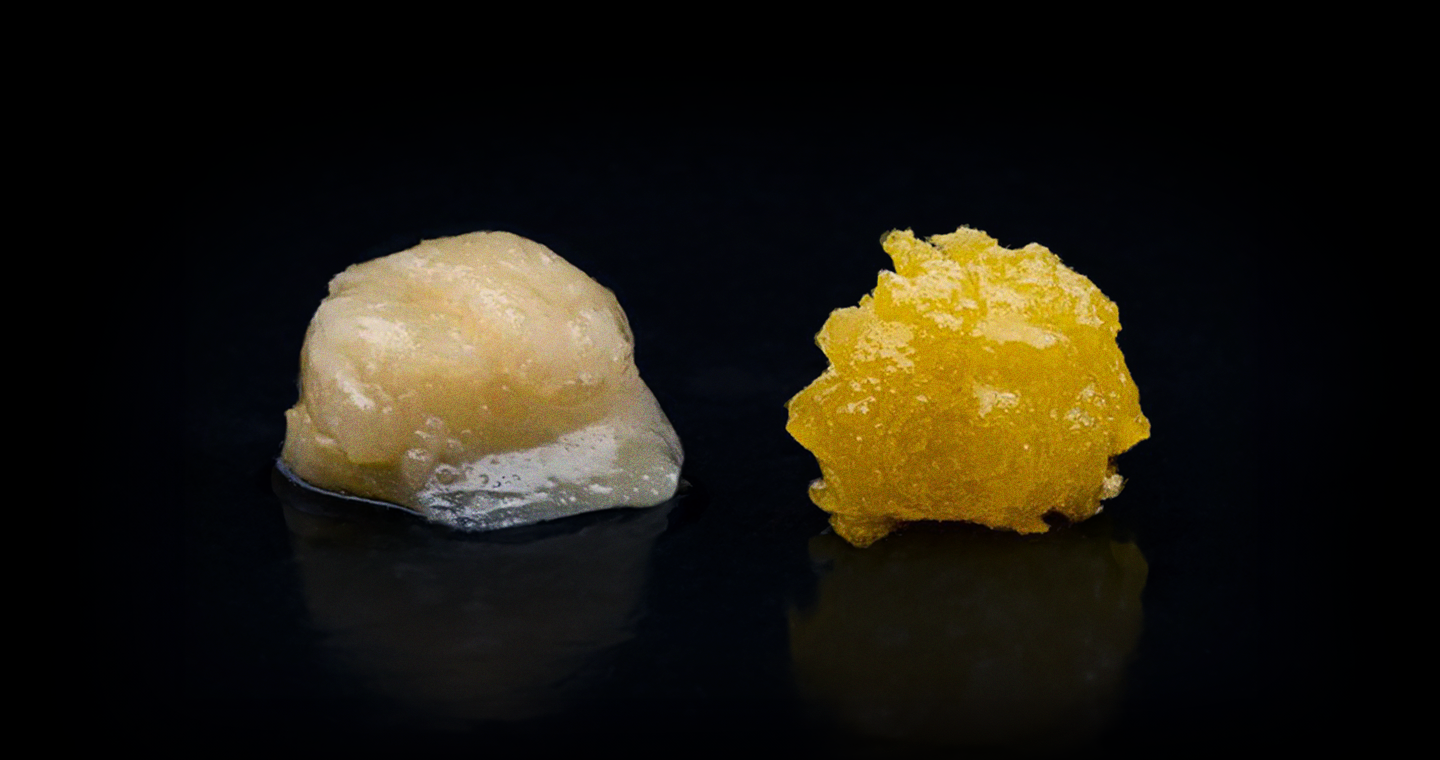 Decoding Cannabis Extracts Live Resin vs Rosin - Quality, Potency, and Flavor